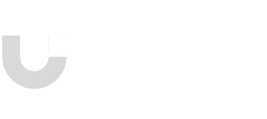 Magnet